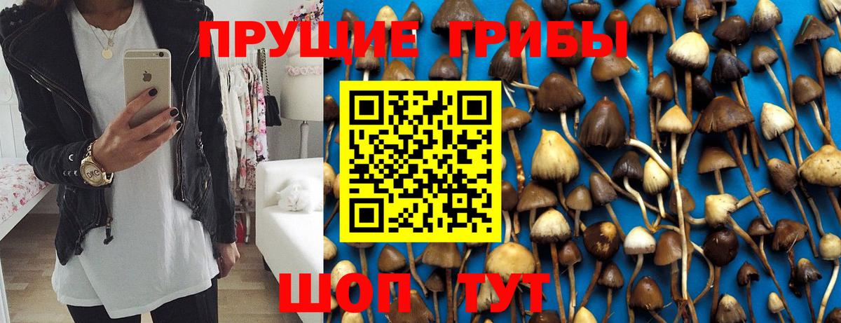 Галлюциногенные грибы прущие грибы  где продают   Сланцы  Вход с VPN 